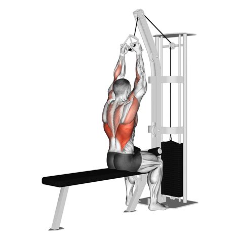 Close Grip Lat Pulldown: Benefits, Muscles Worked, and More - Inspire US