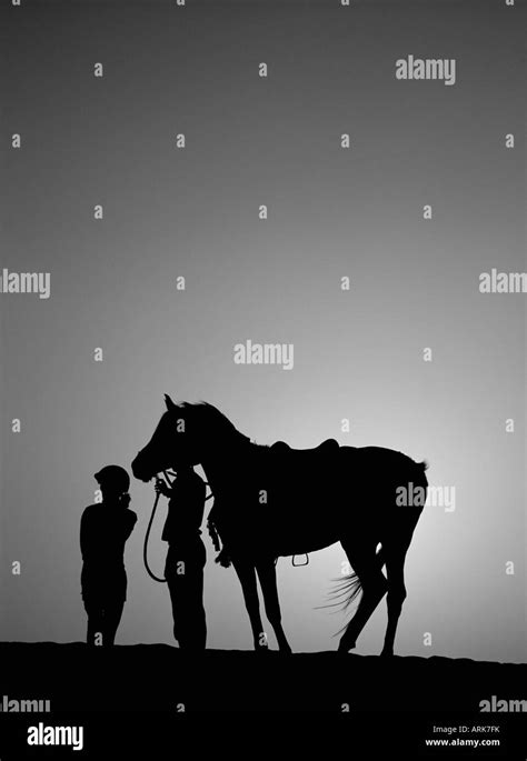 Dubai horse hi-res stock photography and images - Alamy