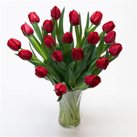 Fresh Red Tulips:Fresh Flowers: Tulips.com