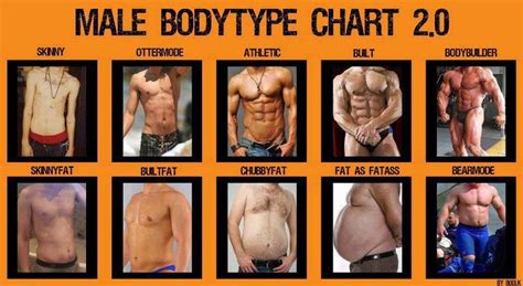 What's your "bodytype" according to this chart? | Body types chart, Fitness motivation ...