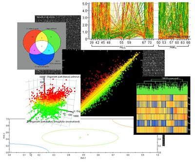 Introduction to Microarray Data Analysis-Video Seminar-Watch Online - Omics tutorials