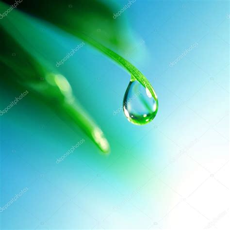 Shine water drop — Stock Photo © yellow2j #5933837