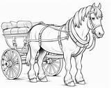 Clydesdale Horse Coloring Pages sketch template