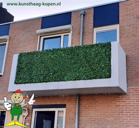 artificial hedges | Artificial hedges, Artificial green wall ...