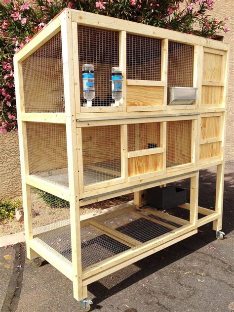 DIY Chicken Coop Ideas for Your Backyard