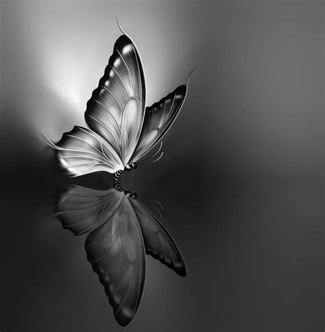 Blocked Desires | Butterfly black and white, Black and white pictures, Black and white aesthetic