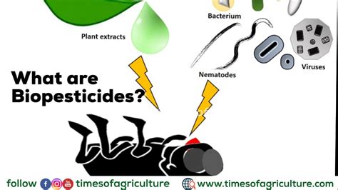 List of Bio Pesticide Uses in Agriculture for Organic Farming