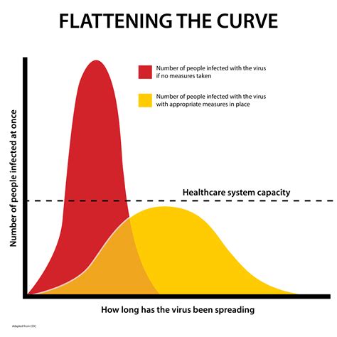 Flattening the Curve of COVID-19 | Metagenics Institute