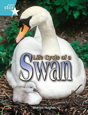 Life Cycle of a Swan : Turquoise Level Non-Fiction - Walmart.com ...