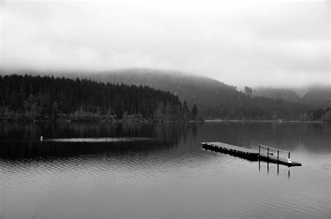 Lake,fog,nature,landscape,mood - free image from needpix.com