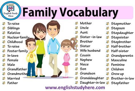 Family Vocabulary in English - English Study Here