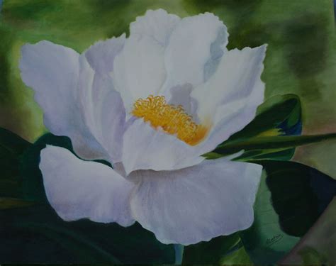 White Peony 16 X 20 Oil Painting on canvas | Oil painting on canvas, Painting, Canvas painting