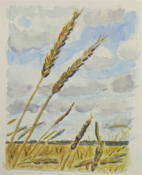 Corn field (copied from pinned photo) | Painting, Art, Watercolor paintings