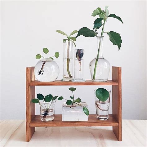 See this Instagram photo by @houseplantclub • 6,703 likes | Plant decor ...