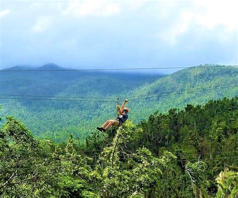 Rainforest Zipline | El Yunque National Rain Forest Ziplining