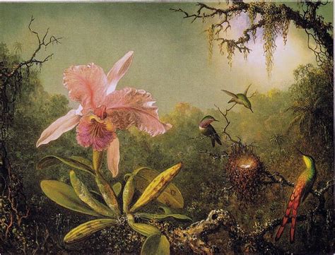 "Cattleya Orchid and Three Brazilian Hummingbirds" by Mart… | Flickr