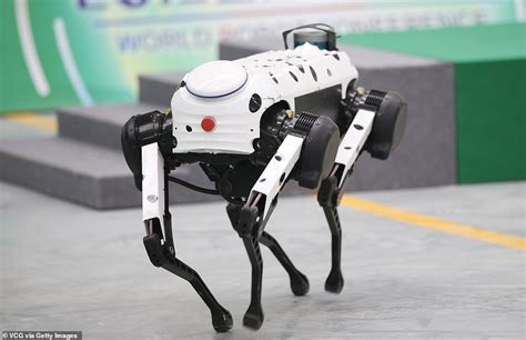 World Robot Conference 2019: Machines On Display Can Fly, Perform Brain ...