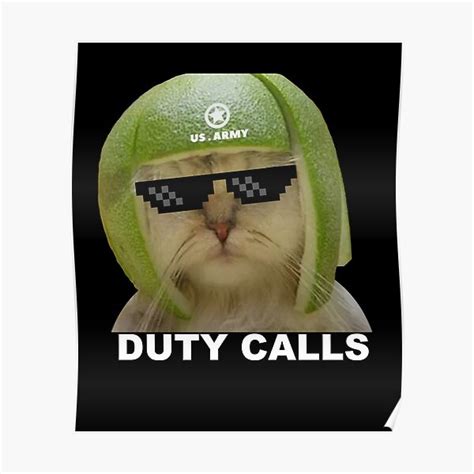 "Limecat - funny lime cat meme" Poster for Sale by Raiko-art | Redbubble