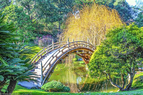 Japanese Garden Bridge Photograph by Tommy Anderson - Pixels