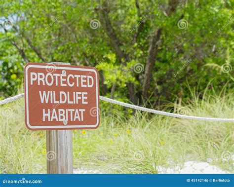 Sanibel Beach Wildlife Refuge Stock Photo - Image: 45142146