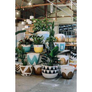 Large Indoor Plant Pots - Foter