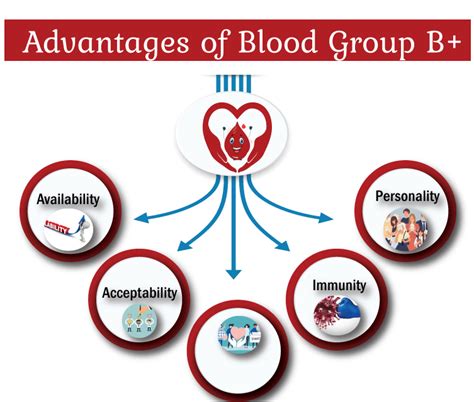 Blood Group B Positive Advantages And Disadvantages