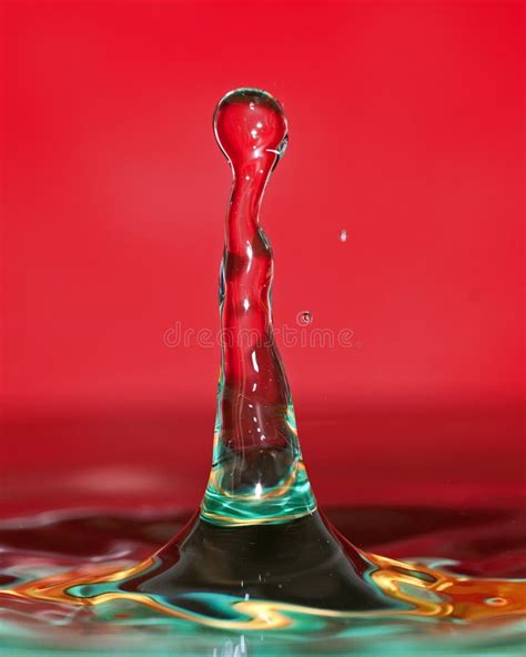 Macro shot of water drops. stock image. Image of black - 143010829