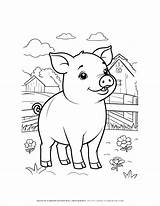 Enjoy A Cute And Fun Baby pig coloring Page On The farm For Creative  sketch template