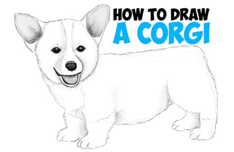 Watch Me Realistic Easy Cute Dog Drawing Draw A Cute Dog