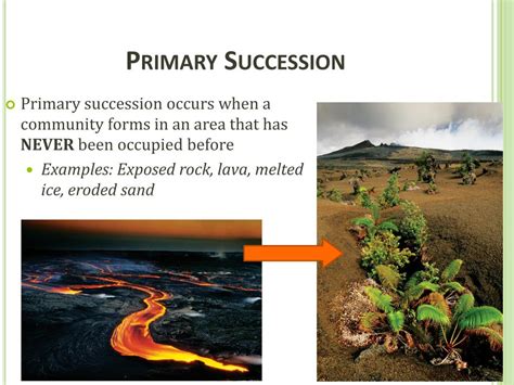 PPT - Concept 5: Ecological Succession PowerPoint Presentation, free download - ID:2119500