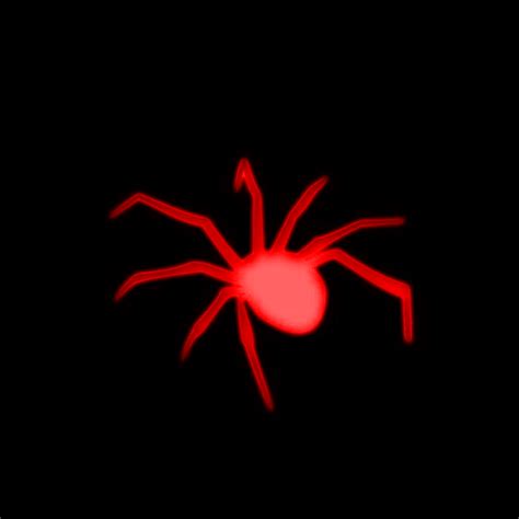 Red Spider on Black Background