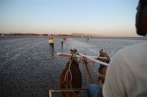 Alibaug Beach Near Mumbai: Essential Travel Guide