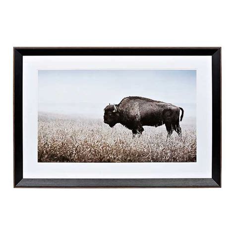 Bison in Field Framed Art Print | Kirklands | Framed art prints, Framed art, Portrait frame