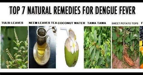 HOME REMEDIES (ಹಿತ್ತಲ ಮದ್ದು): Home Remedies for Dengue Fever