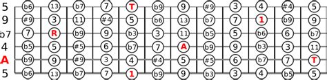 Music Intervals: What Is An Octave & What Are Intervals?