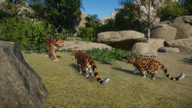 Amur Leopard at Planet Zoo Nexus - Mods and community