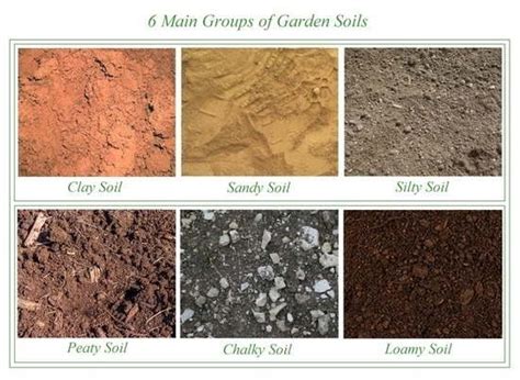 Everything You Need to Know About Garden Soil Types – Mother Earth News