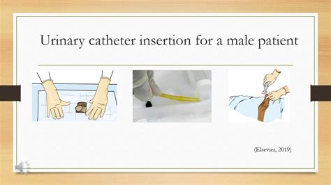 Gaming Catheter Meaning at Melissa Hill blog