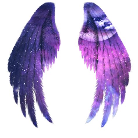 Transparent Blue Fairy Wings Wing Fairy Tinkerbell Png Transparent | My ...
