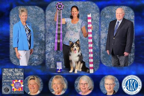 Akc Dog Show Results 2024 - Allx Luelle