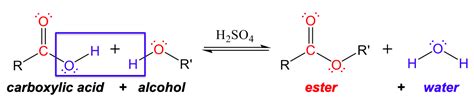 Amino Acid Condensation Reaction Mechanism