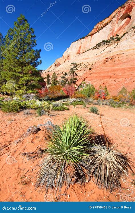 Zion National Park Geology stock image. Image of substrate - 27859463