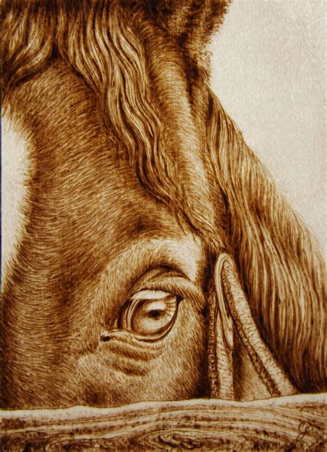 "Oculus" Horse up close! Animal Pyrography by Cara Jordan | Wood ...