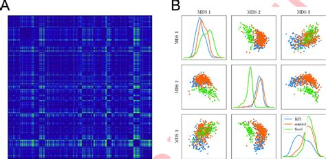 Comparing individual synapses. (A) Matrix of the inter-synapse MMD: the ...