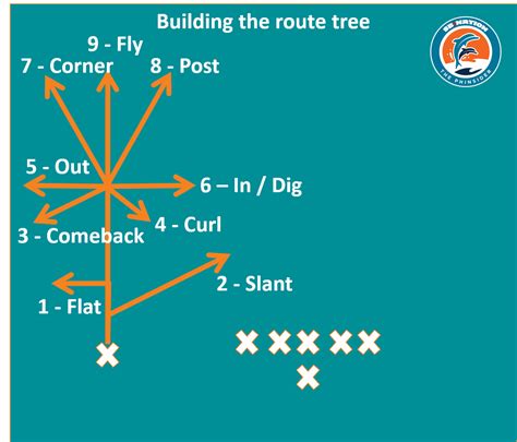 Football 101: Wide receiver route tree - The Phinsider