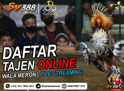 SABUNG AYAM ONLINE. Daftar Sabung sangat mudah melalui agen… | by ...