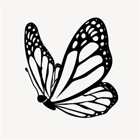 Butterfly Black Outline Images | Free Photos, PNG Stickers, Wallpapers & Backgrounds - rawpixel