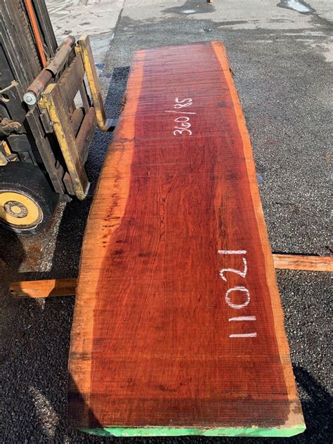 Bubinga Slab #11021 Natural Edge | Tropical Exotic Hardwoods