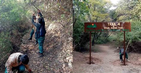 Rehabilitated Margalla Hills trail-four to open today - Global Village Space