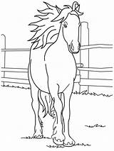 Free Horse Printable Coloring Pages & Book For Kids sketch template